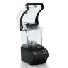 Блендер професійний GoodFood BL20MULTISPEED