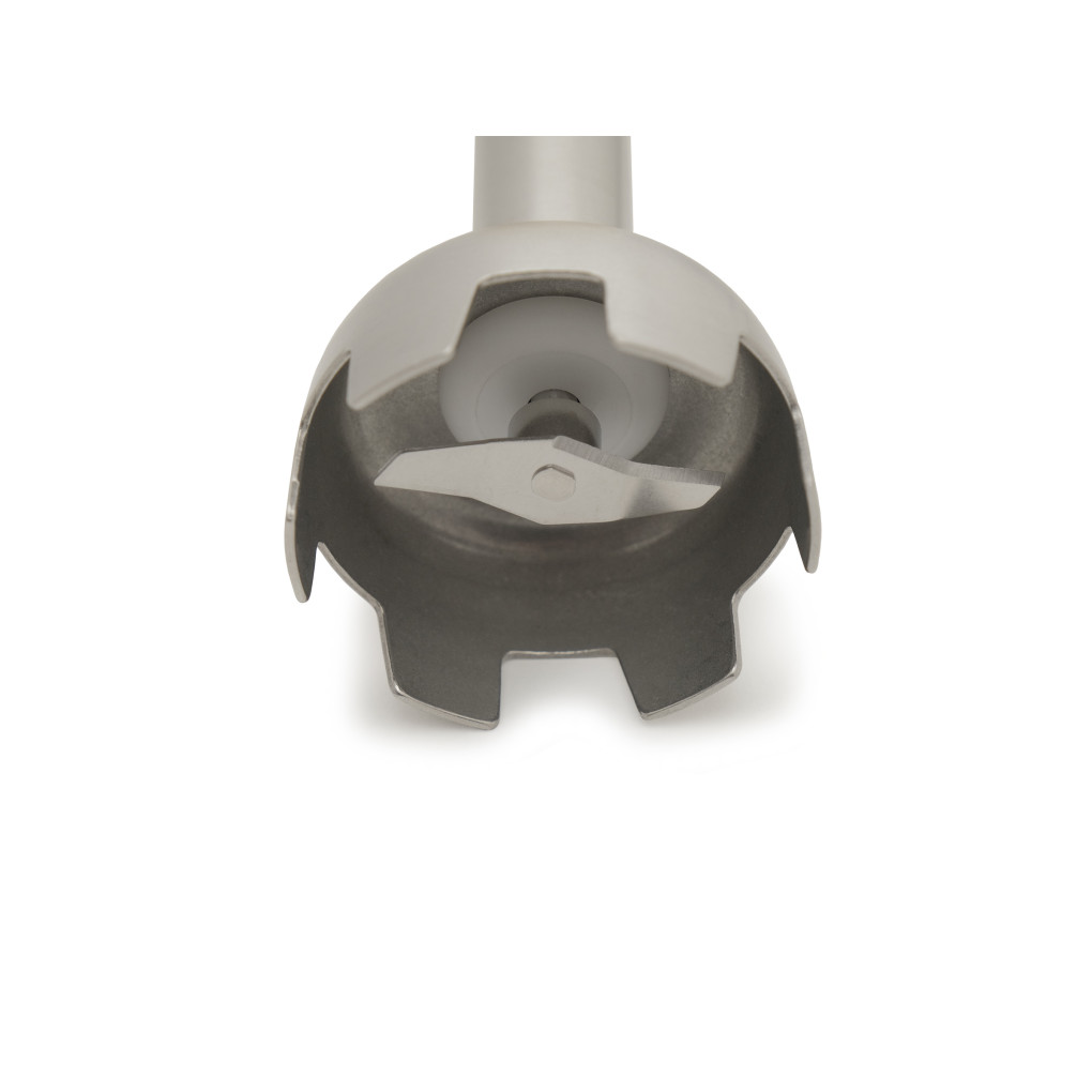 Міксер (гомогенізатор) ручний занурювальний GoodFood BL160 BLACK 